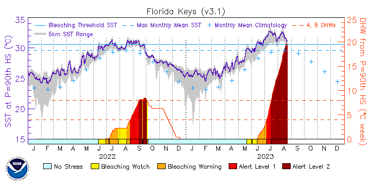 Graphic of Florida Keys showing current status of coral reefs.
