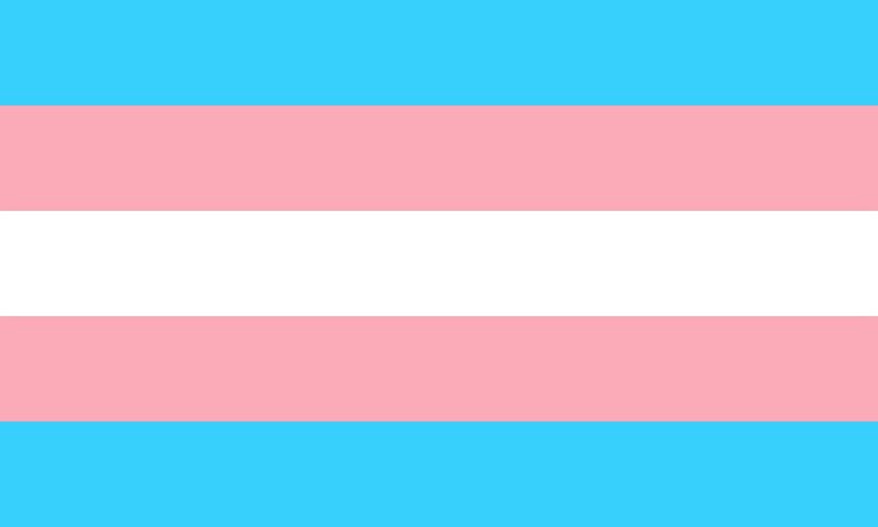 2020: The Year of the Trans